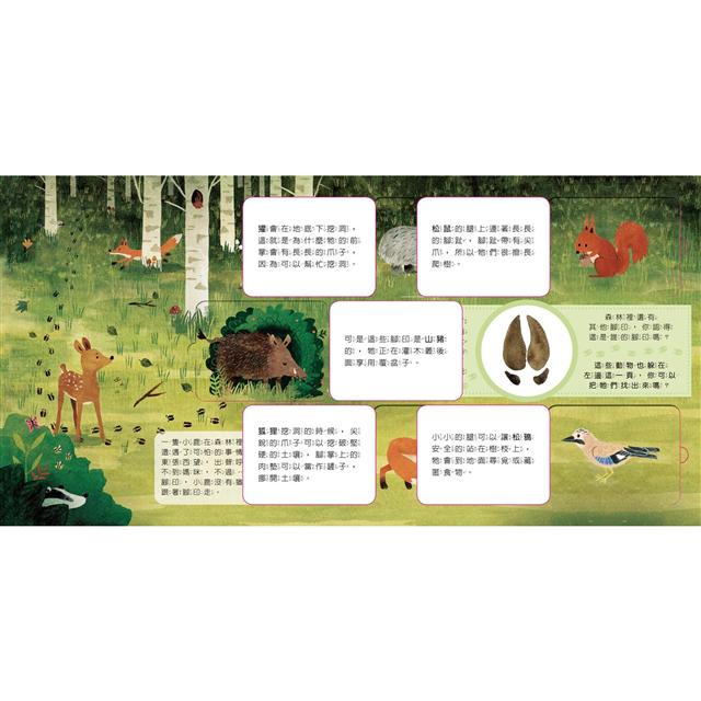 動物小知識翻翻書：這是誰的腳印？